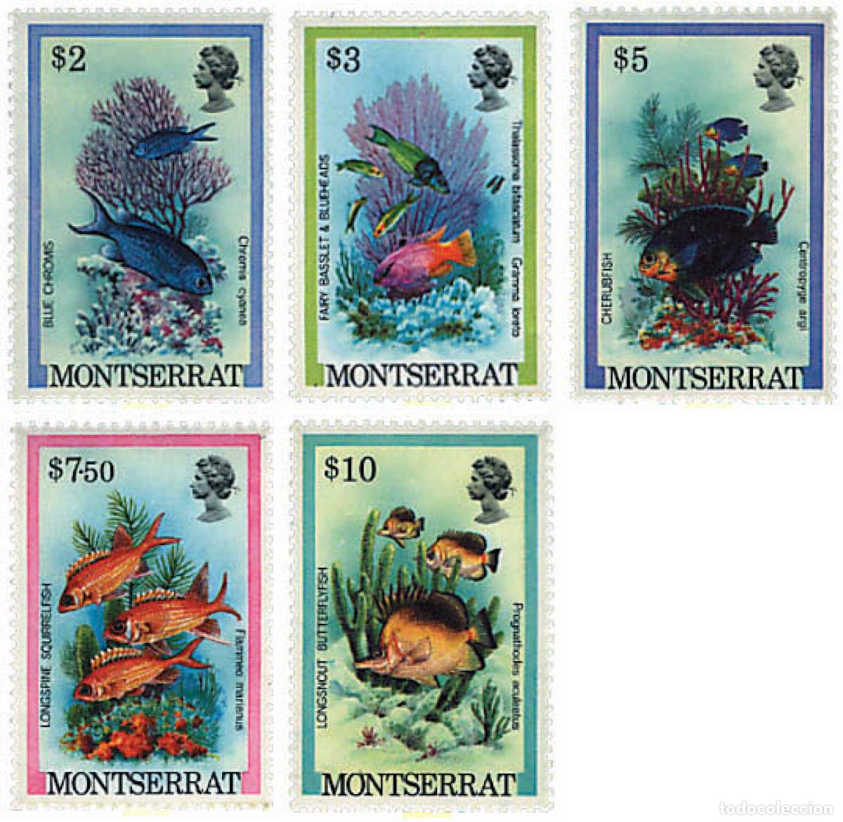 Sellos: 232393 MNH MONTSERRAT 1981 PECES - Foto 1
