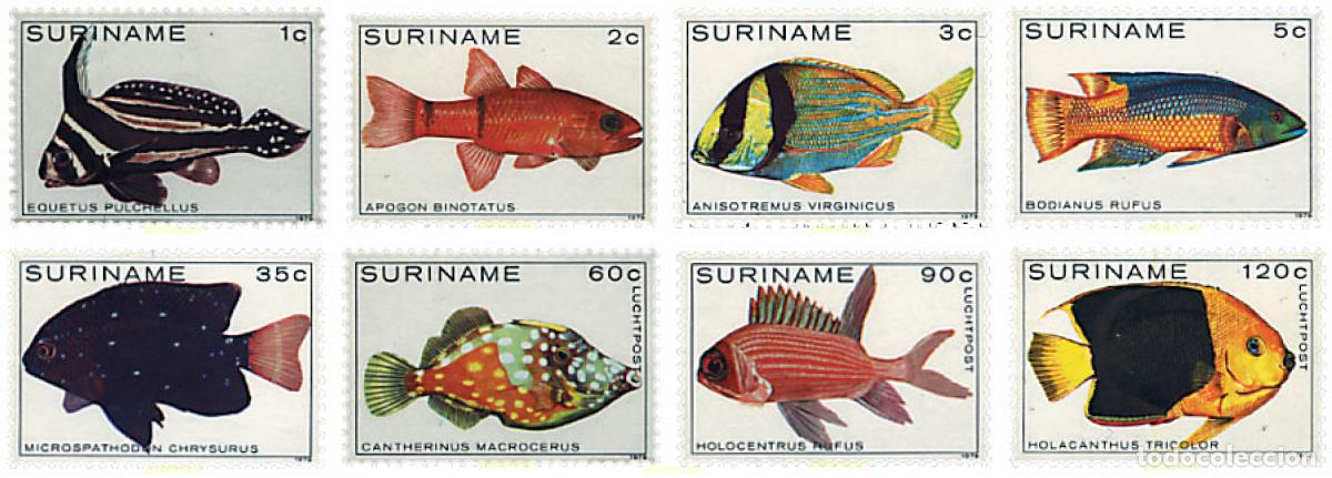 Sellos: 91221 MNH SURINAM 1979 PECES - Foto 1