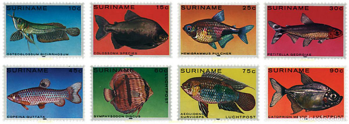 Sellos: 91227 MNH SURINAM 1980 PECES TROPICALES