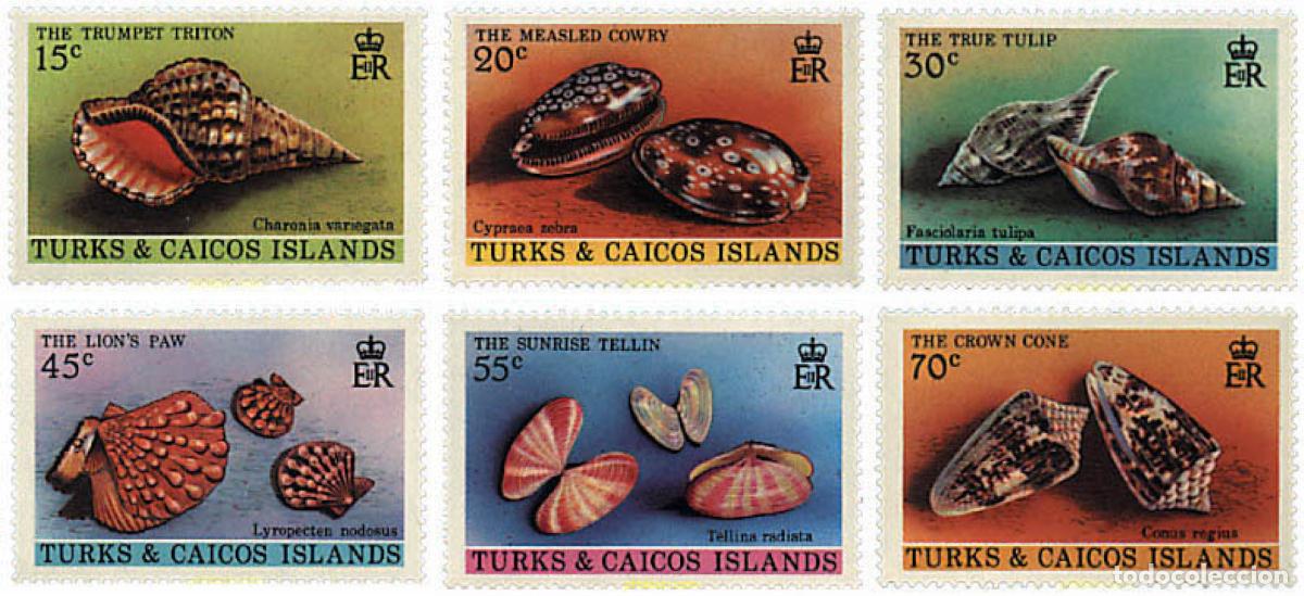 Sellos: 52870 MNH TURKS Y CAICOS 1980 CONCHAS