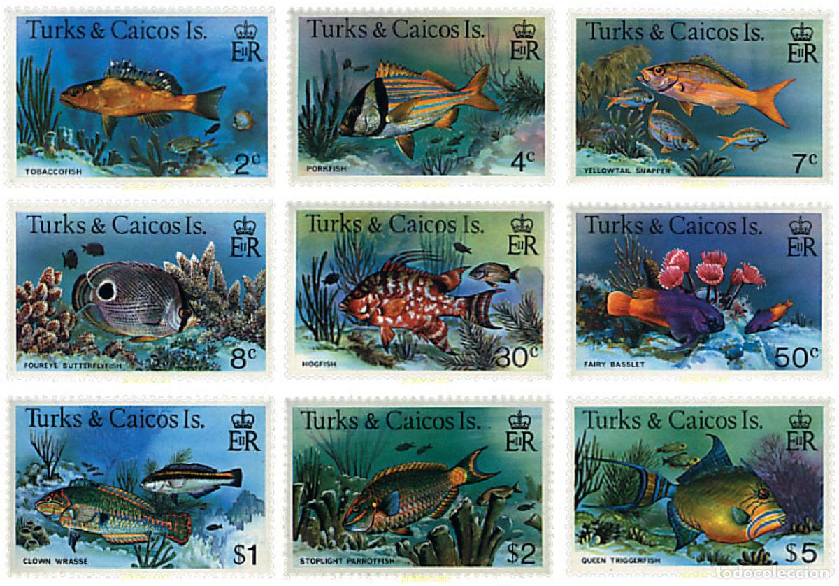 Sellos: 366608 MNH TURKS Y CAICOS 1978 PECES