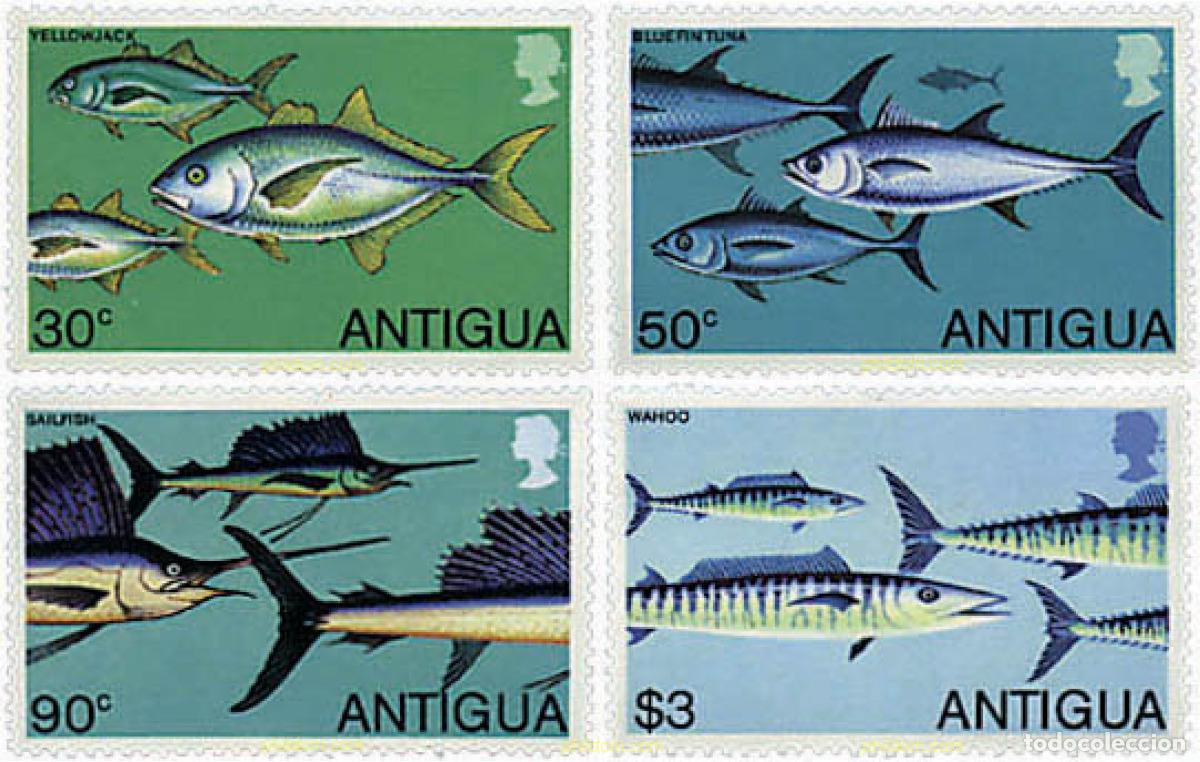 Sellos: 46688 MNH ANTIGUA 1979 PECES