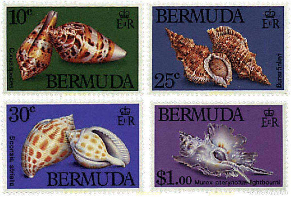 Sellos: 53162 MNH BERMUDAS 1982 CONCHAS - Foto 1
