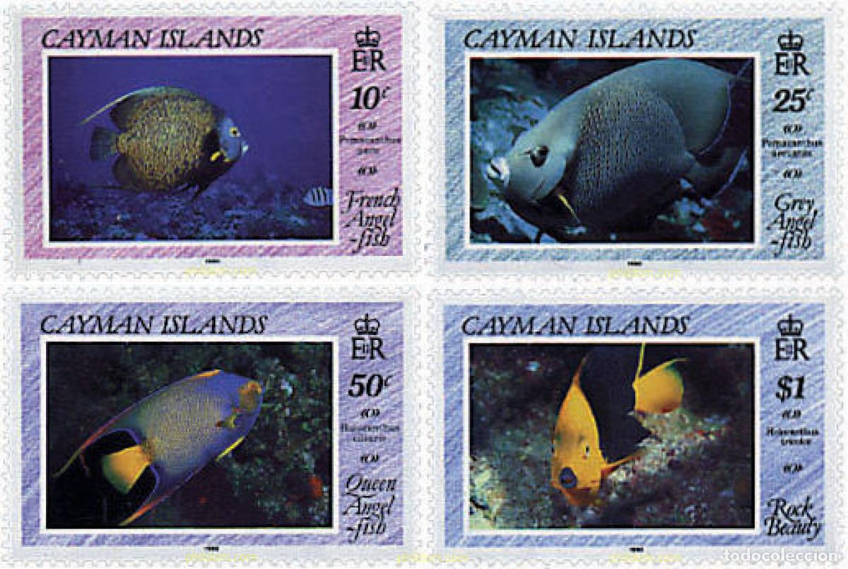 Timbres: 28533 MNH CAIMAN Islas 1990 FAUNA MARINA. PECES
