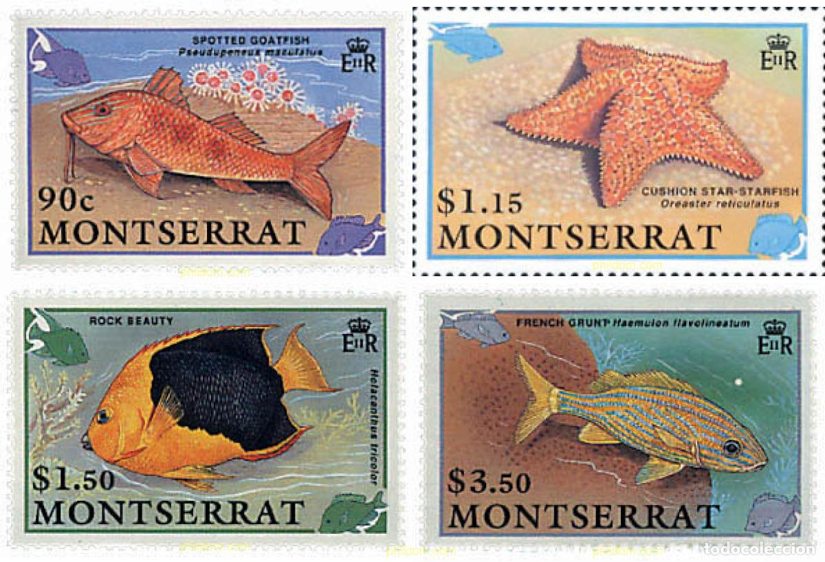 Sellos: 56205 MNH MONTSERRAT 1991 PECES TROPICALES