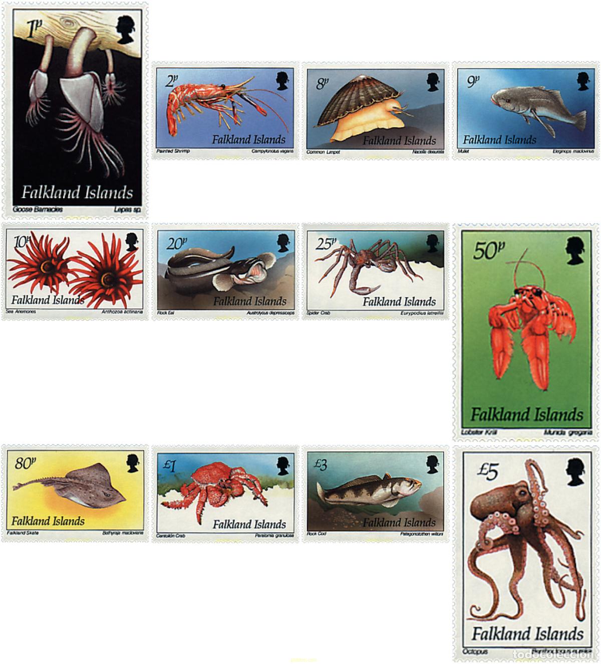Sellos: 43268 MNH FALKLAND 1994 FAUNA MARINA