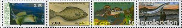 Sellos: 162051 MNH SAN PEDRO Y MIQUELON 1993 PECES