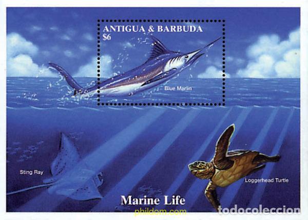 Sellos: 569652 MNH ANTIGUA Y BARBUDA 1994 VIDA MARINA