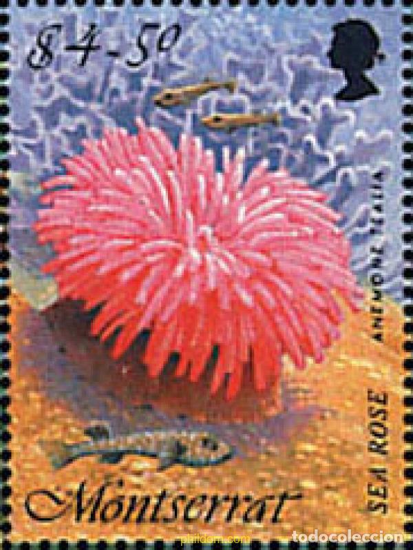 Timbres: 345566 MNH MONTSERRAT 1995 FLORA MARINA