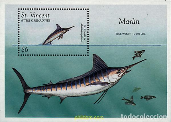 Sellos: 360470 MNH SAN VICENTE 1996 PECES DEL CARIBE