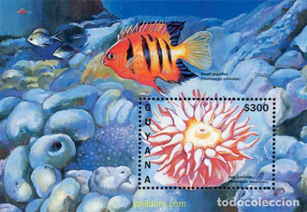 Sellos: 321466 MNH GUYANA 1996 FAUNA MARINA