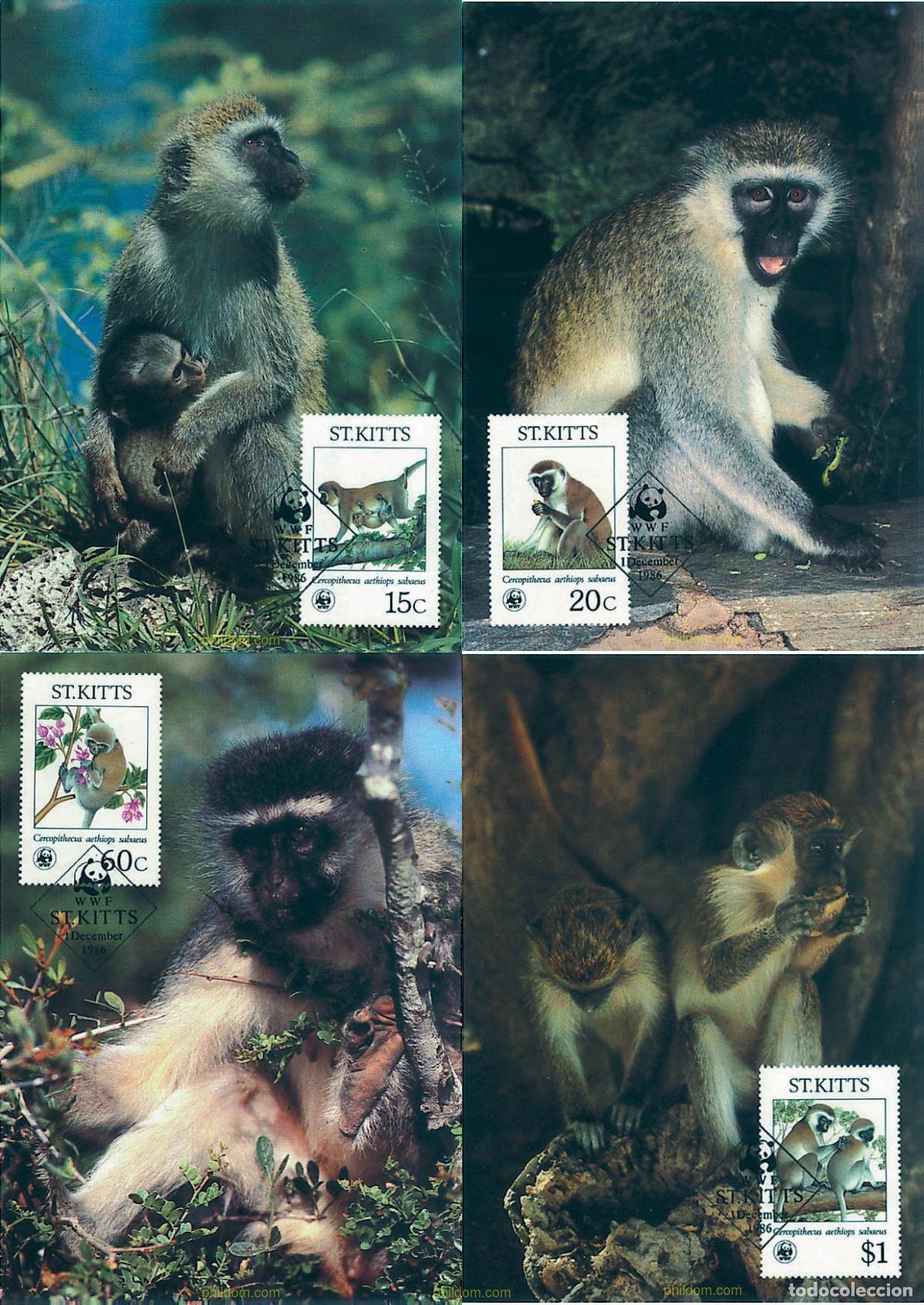 Sellos: 7320 MNH SAN KITTS 1986 MONO VERDE