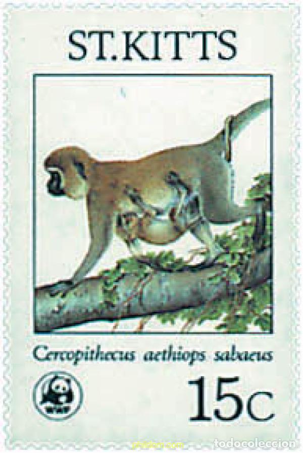 Sellos: 275225 MNH SAN KITTS 1986 MONO VERDE