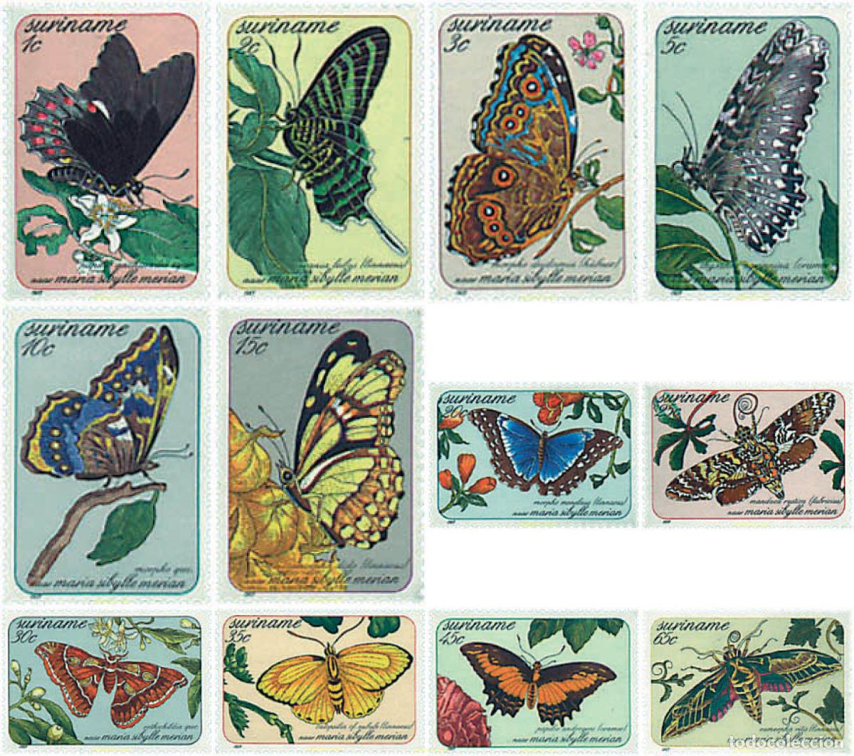 Sellos: 95131 MNH SURINAM 1983 MARIPOSAS