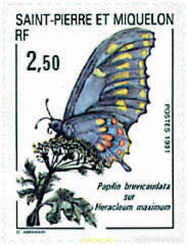 Sellos: 96418 MNH SAN PEDRO Y MIQUELON 1991 FAUNA Y FLORA