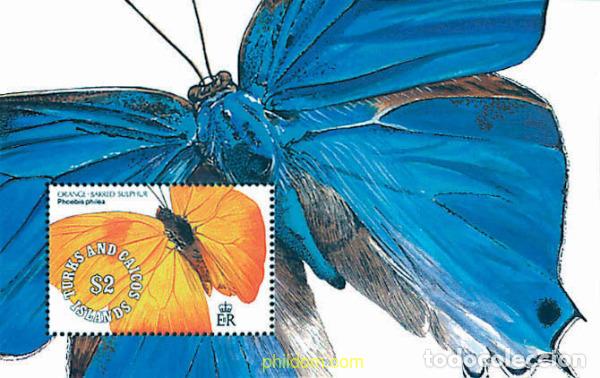 Sellos: 299315 MNH TURKS Y CAICOS 1991 MARIPOSAS
