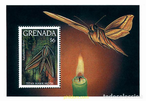 Sellos: 319388 MNH GRANADA 1993 MARIPOSAS - Foto 1