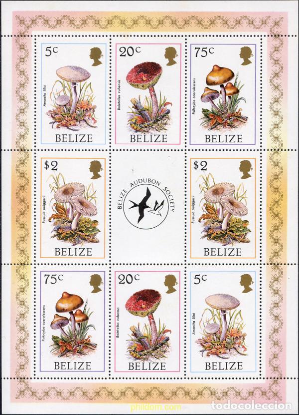 Sellos: 10777 MNH BELIZE 1986 SETAS - Foto 1