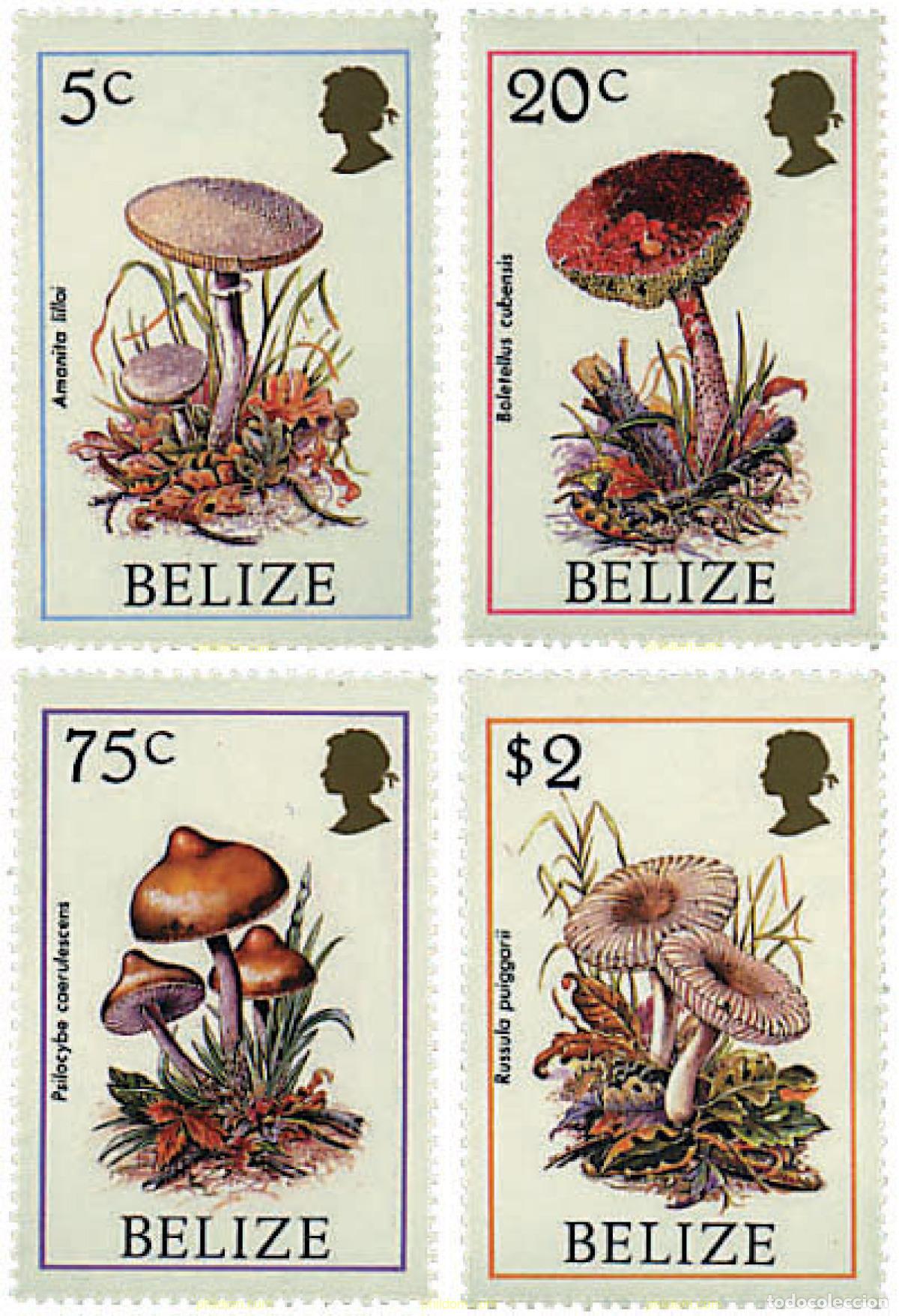 Sellos: 37394 MNH BELIZE 1986 SETAS - Foto 1