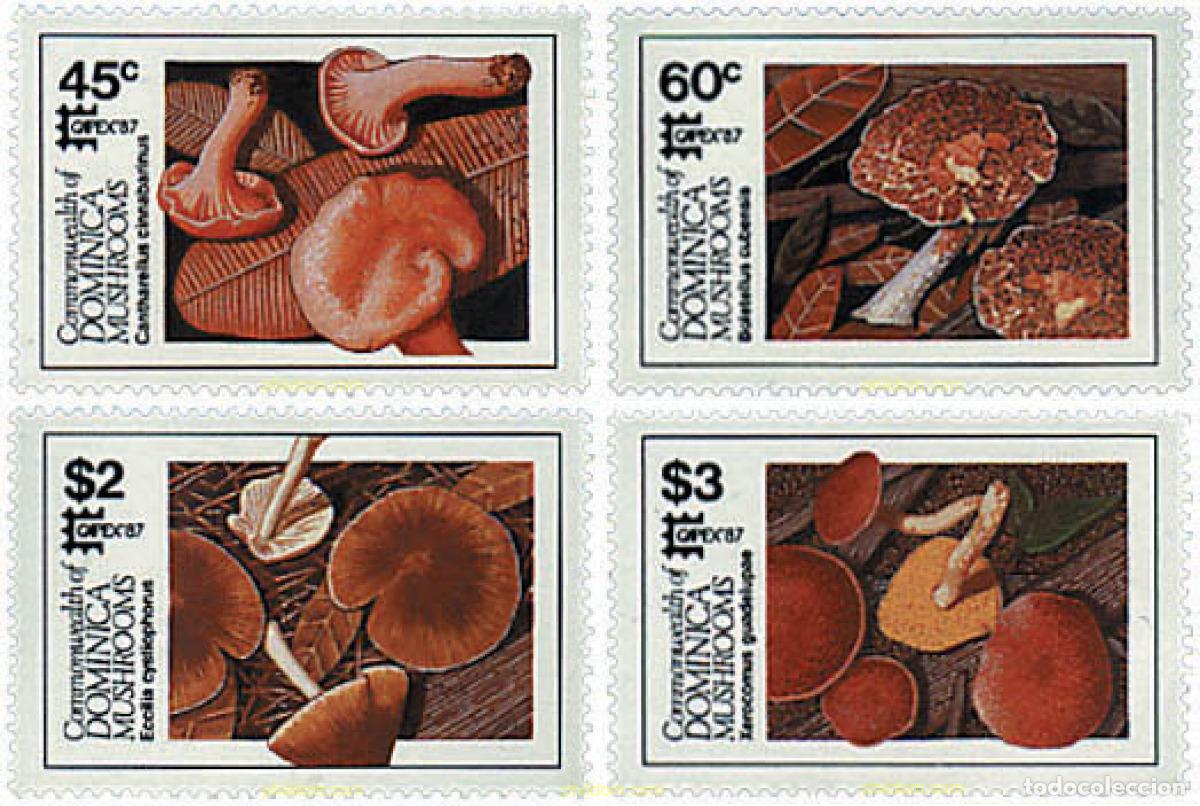 Sellos: 36174 MNH DOMINICA 1987 SETAS - Foto 1