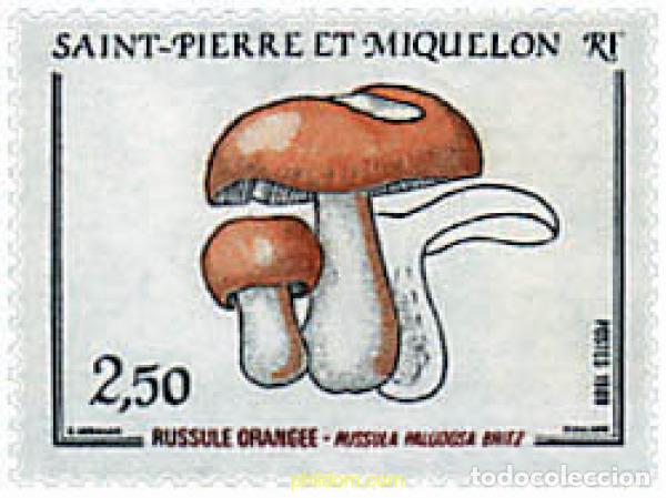 Sellos: 37479 MNH SAN PEDRO Y MIQUELON 1988 SETAS
