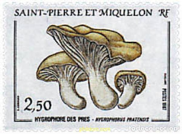 Sellos: 37478 MNH SAN PEDRO Y MIQUELON 1987 SETAS