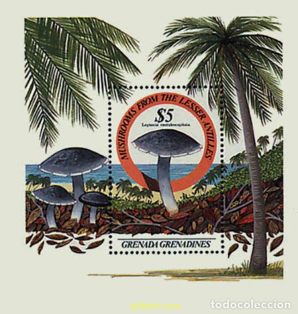 Sellos: 34610 MNH GRANADA GRANADINAS 1986 SETAS - Foto 1