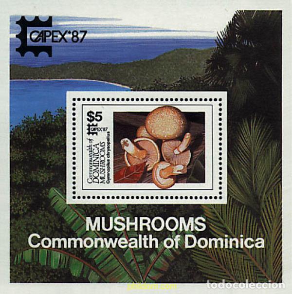 Sellos: 34597 MNH DOMINICA 1987 SETAS - Foto 1