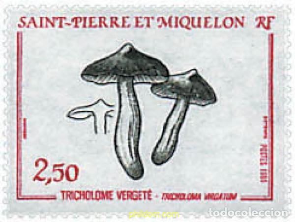 Sellos: 82349 MNH SAN PEDRO Y MIQUELON 1989 SETAS