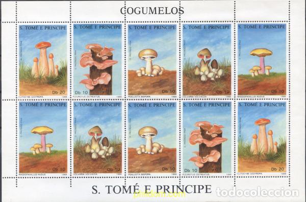 Sellos: 276379 MNH SANTO TOME Y PRINCIPE 1988 SETAS