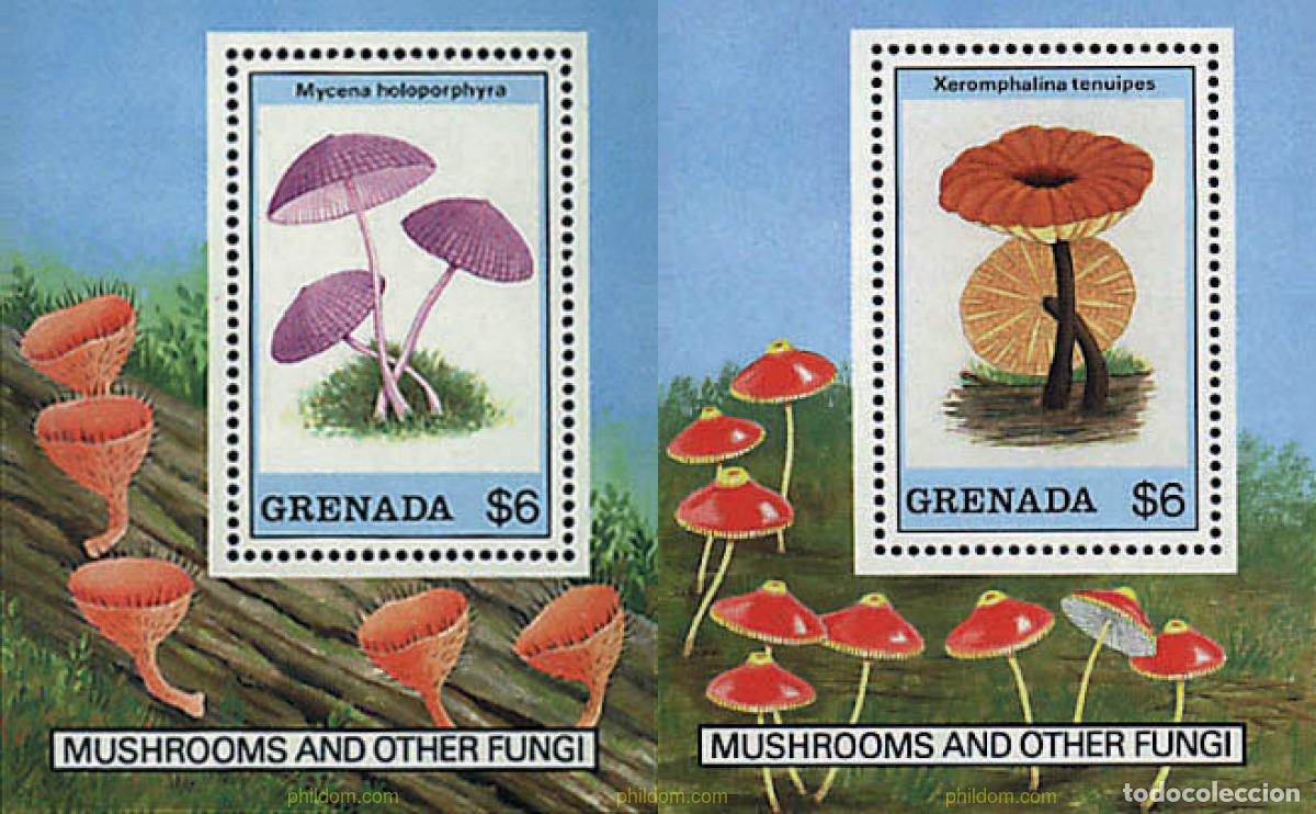 Sellos: 34603 MNH GRANADA 1989 SETAS - Foto 1