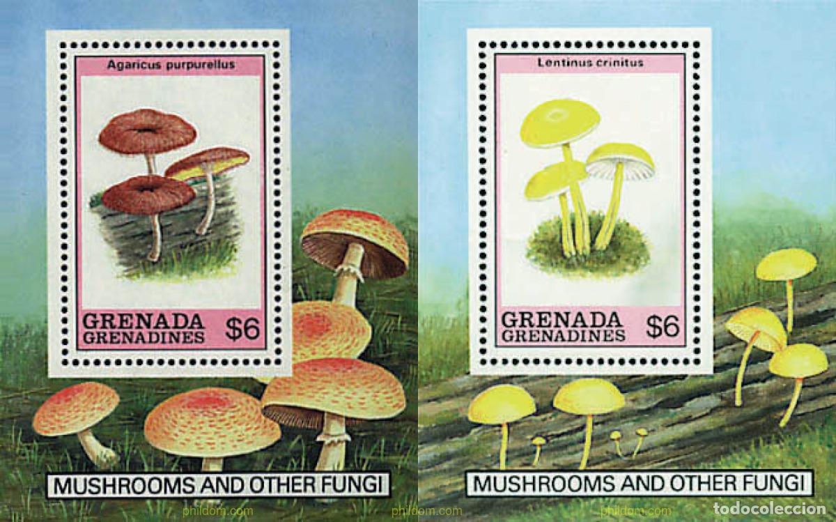 Sellos: 35007 MNH GRANADA GRANADINAS 1989 SETAS - Foto 1