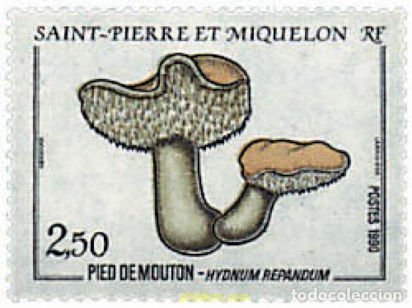 Sellos: 36249 MNH SAN PEDRO Y MIQUELON 1990 SETAS