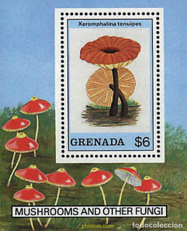 Sellos: 212499 MNH GRANADA 1989 SETAS - Foto 1