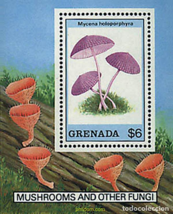Sellos: 319169 MNH GRANADA 1989 SETAS - Foto 1