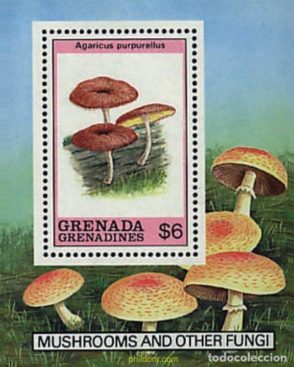 Sellos: 320130 MNH GRANADA GRANADINAS 1989 SETAS - Foto 1