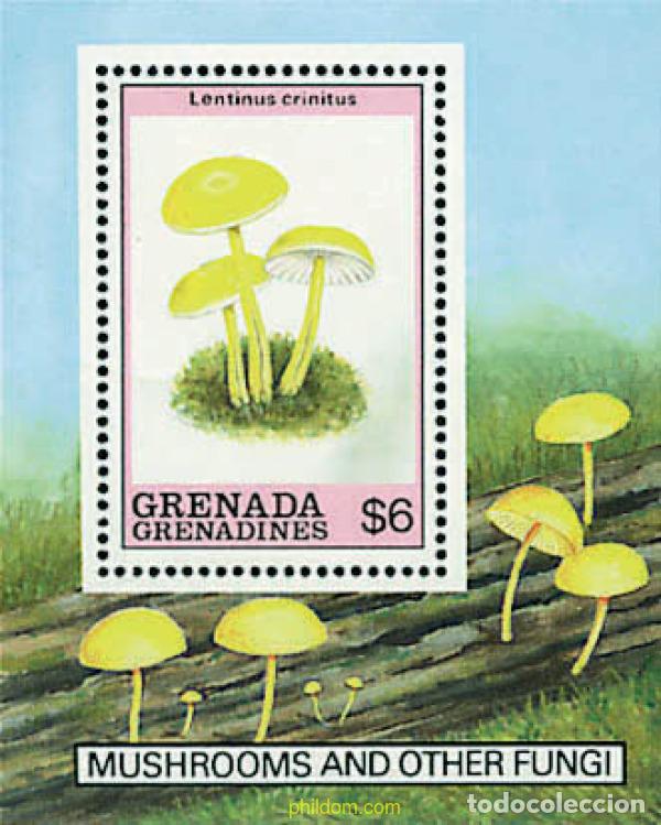 Sellos: 320131 MNH GRANADA GRANADINAS 1989 SETAS - Foto 1