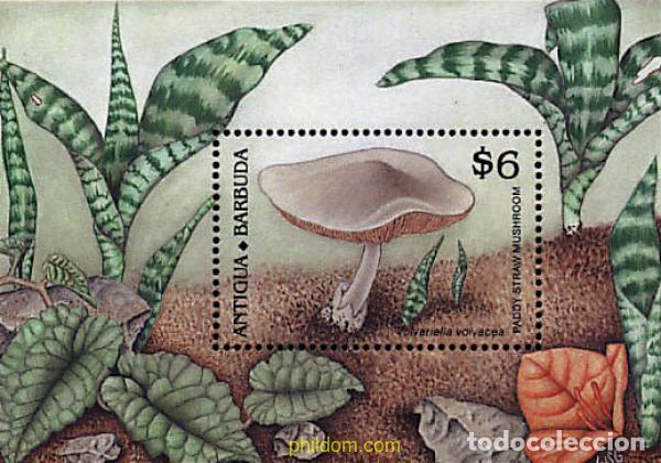 Sellos: 203396 MNH ANTIGUA Y BARBUDA 1989 SETAS - Foto 1