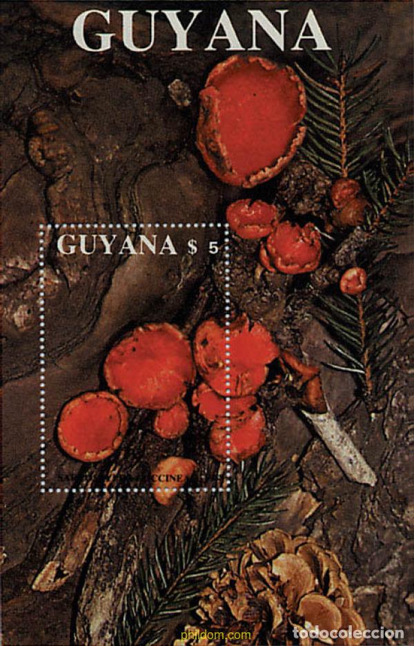 Sellos: 38127 MNH GUYANA 1989 SETAS - Foto 1
