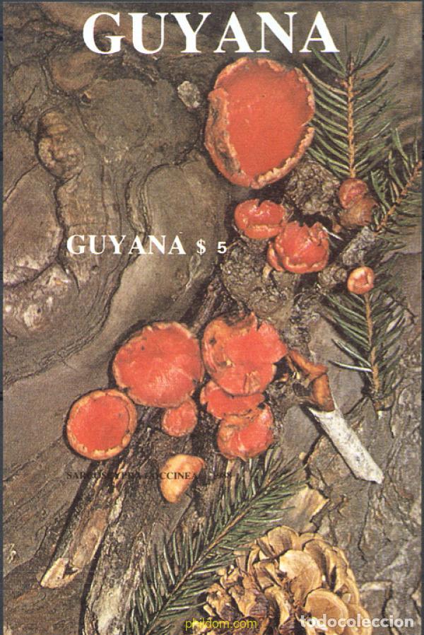 Sellos: 233210 MNH GUYANA 1989 SETAS - Foto 1