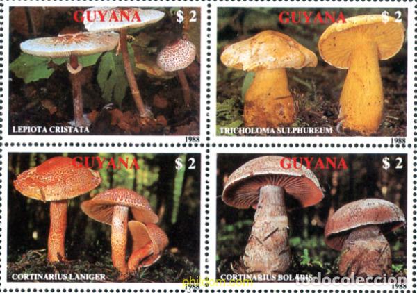Sellos: 184730 MNH GUYANA 1989 SETAS - Foto 1