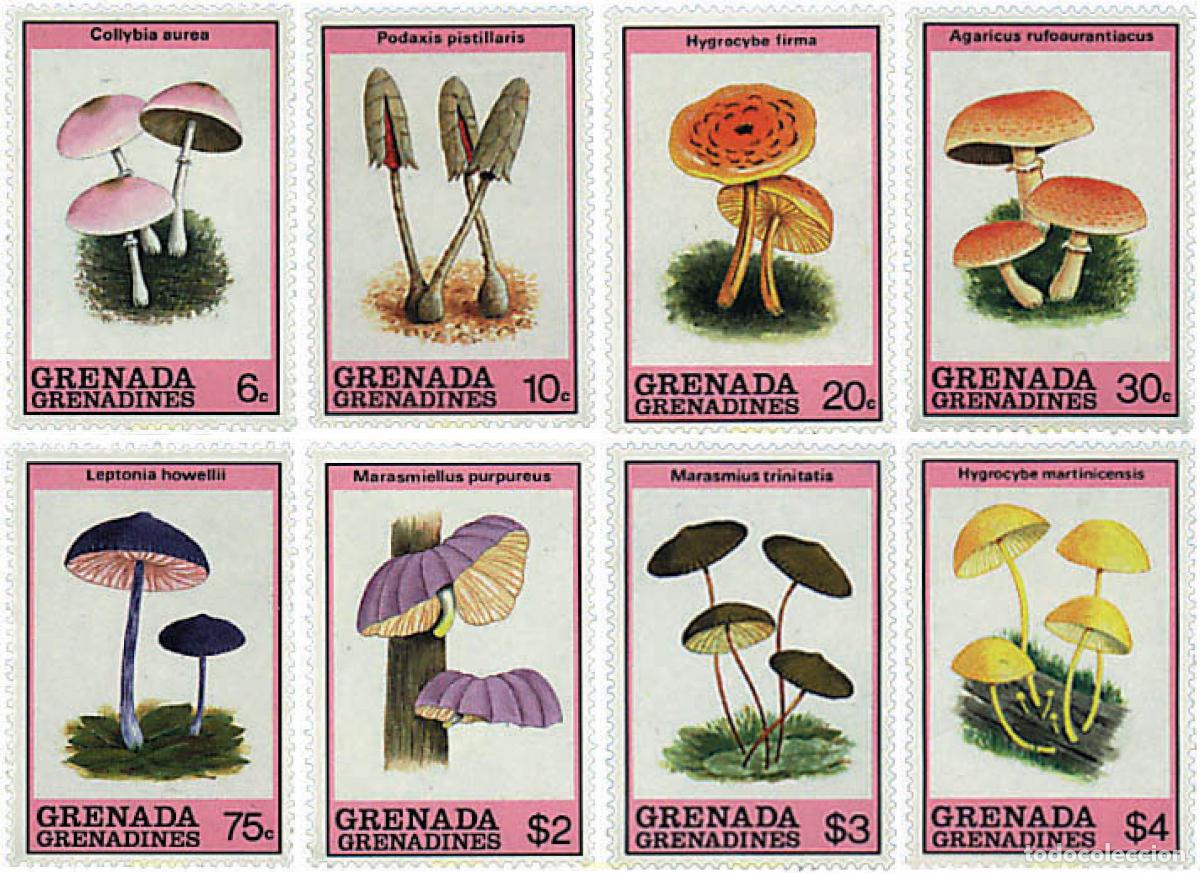 Sellos: 35008 MNH GRANADA GRANADINAS 1989 SETAS - Foto 1