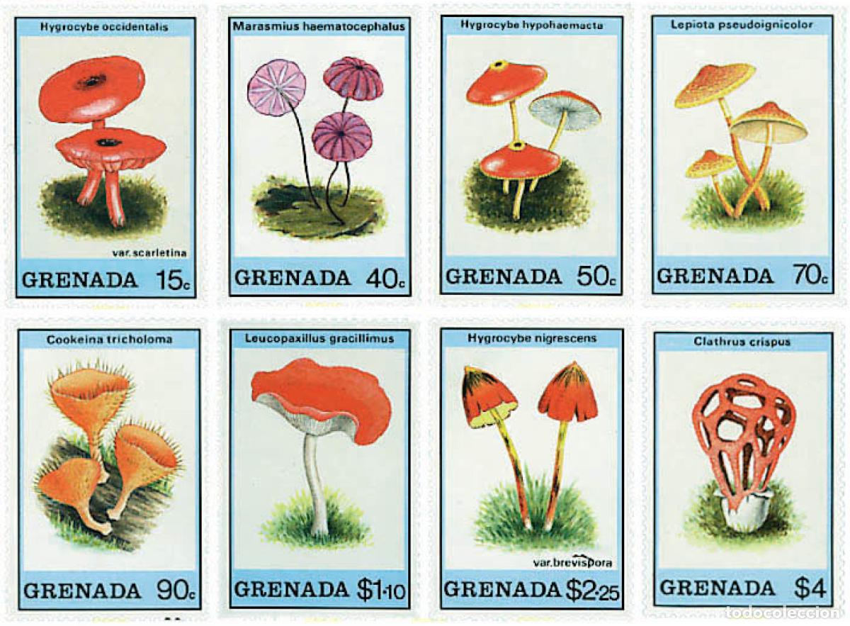 Sellos: 36185 MNH GRANADA 1989 SETAS - Foto 1