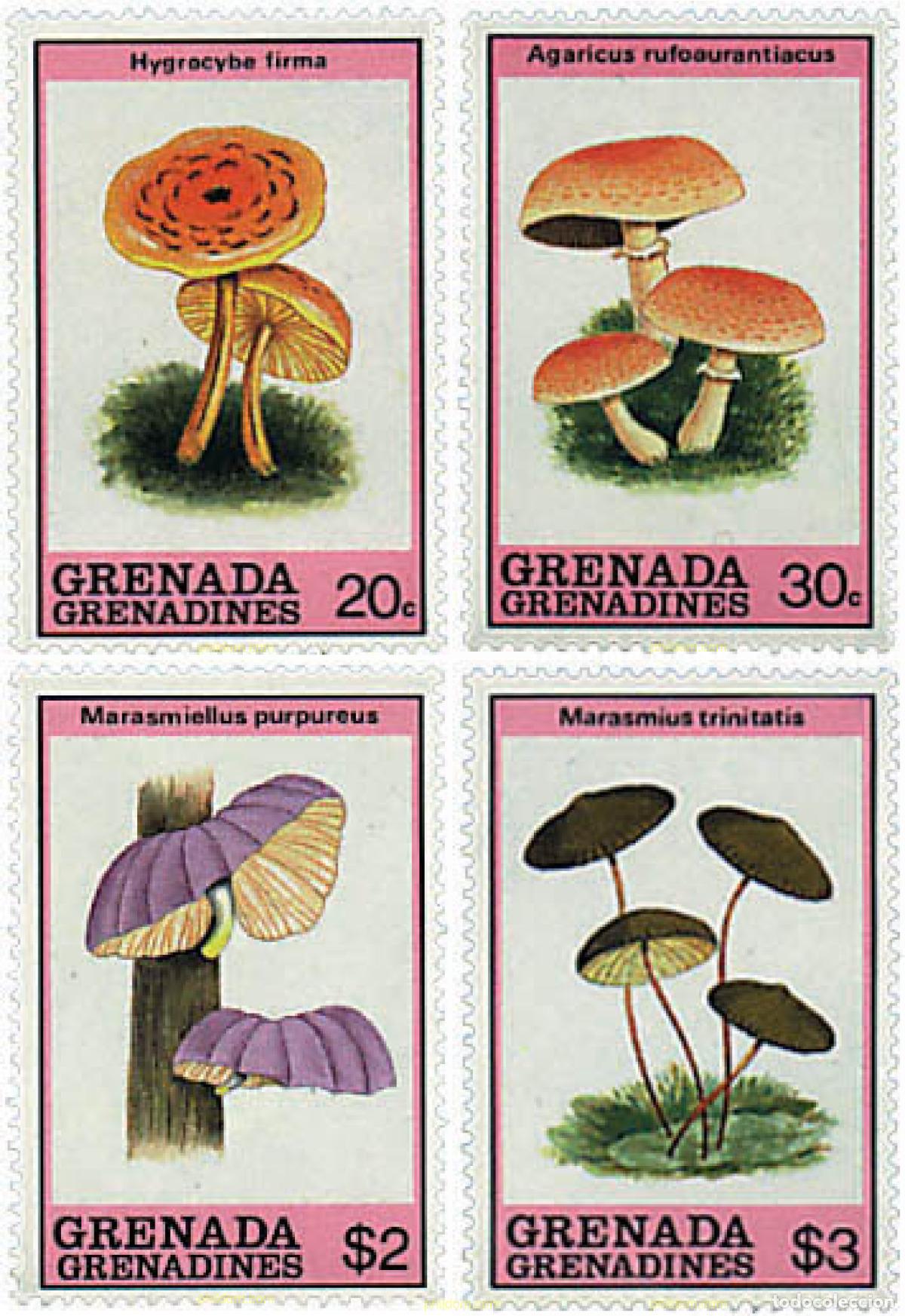 Sellos: 212743 MNH GRANADA GRANADINAS 1989 SETAS - Foto 1