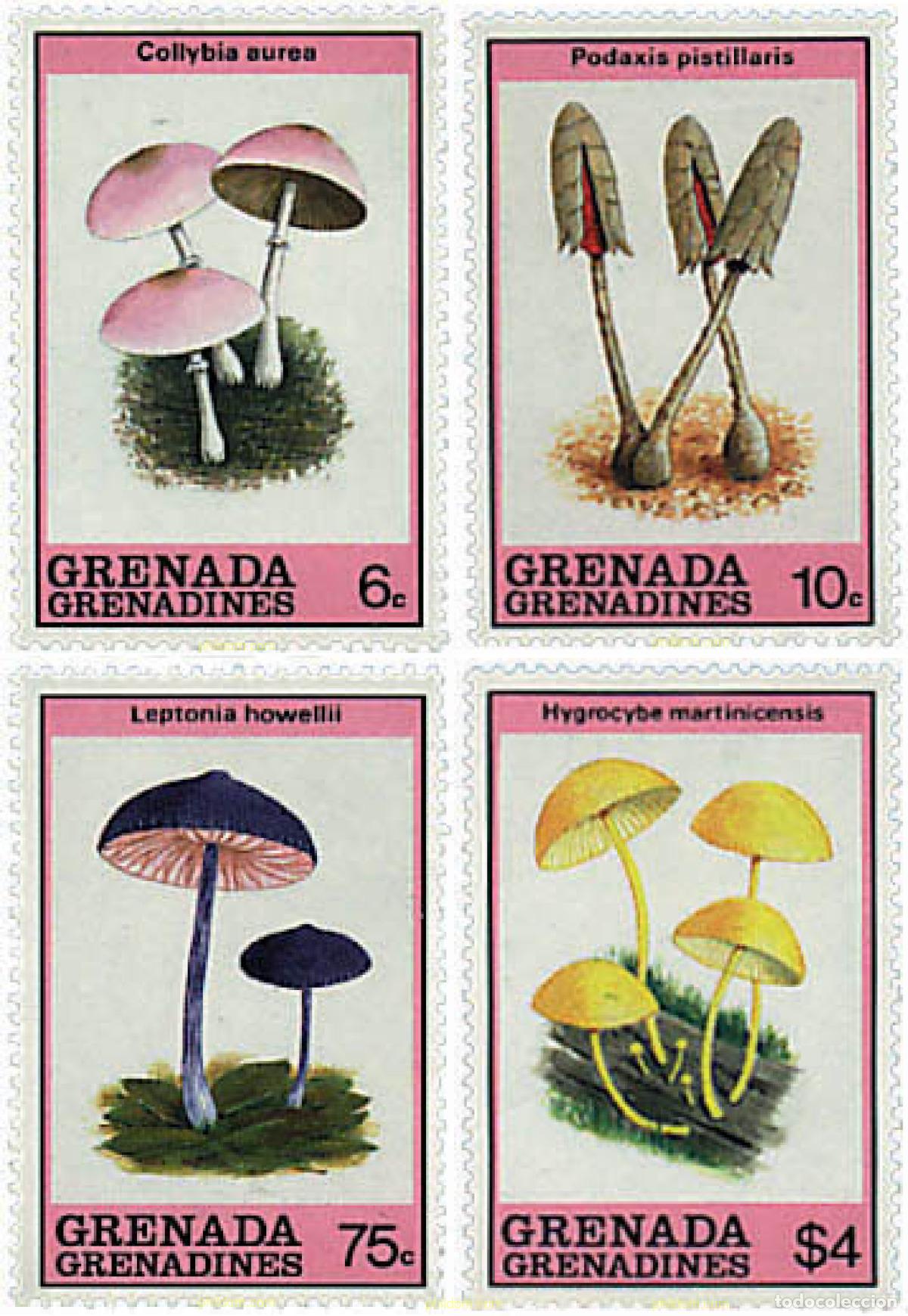 Sellos: 320129 MNH GRANADA GRANADINAS 1989 SETAS - Foto 1