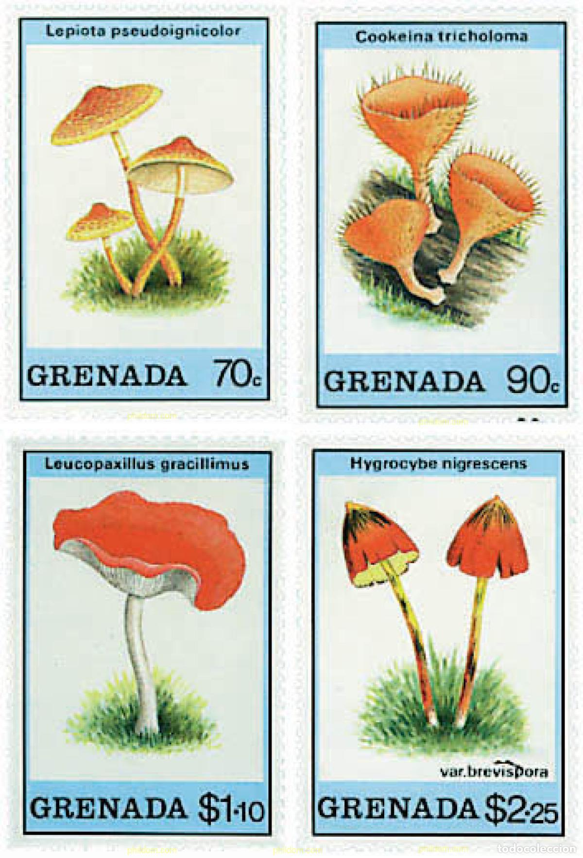 Sellos: 212510 MNH GRANADA 1989 SETAS - Foto 1