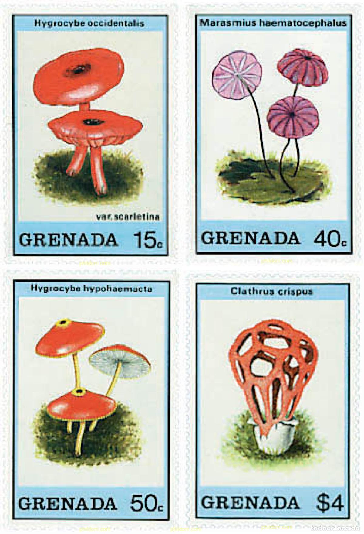 Sellos: 319168 MNH GRANADA 1989 SETAS - Foto 1