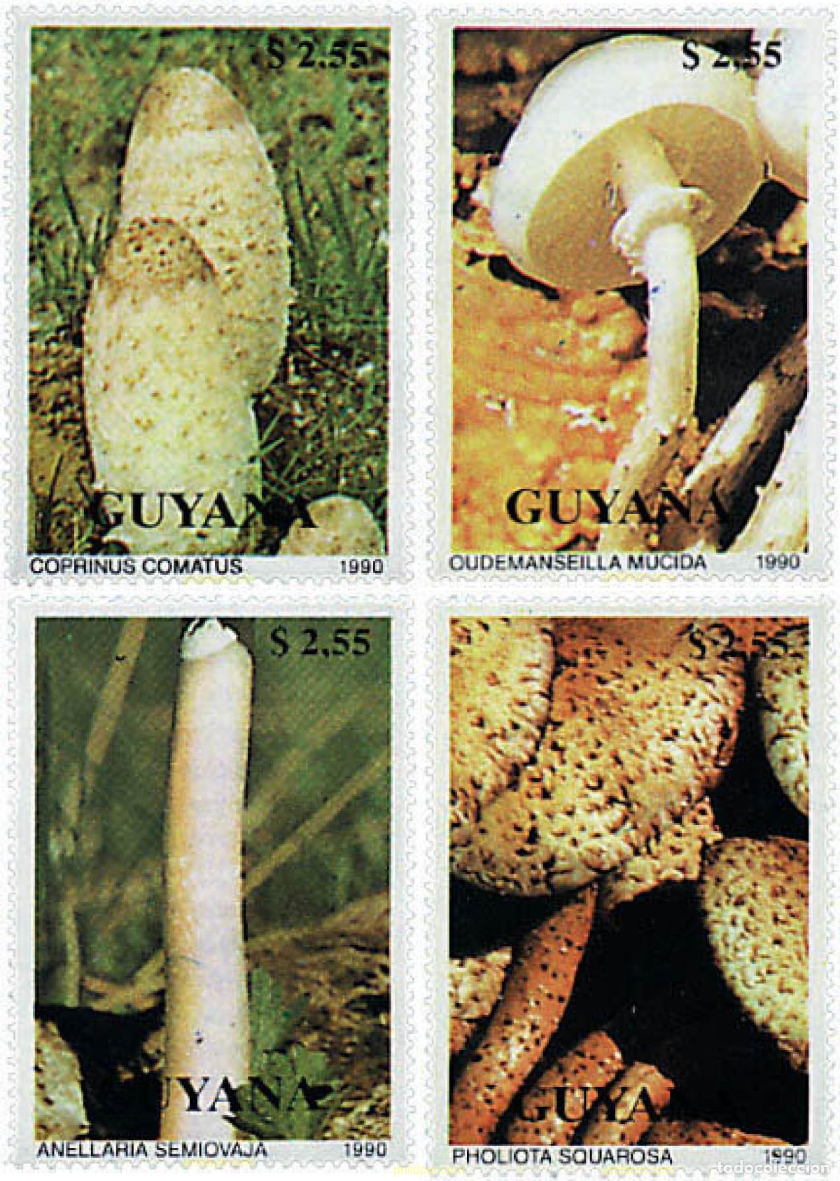 Sellos: 36581 MNH GUYANA 1990 SETAS - Foto 1