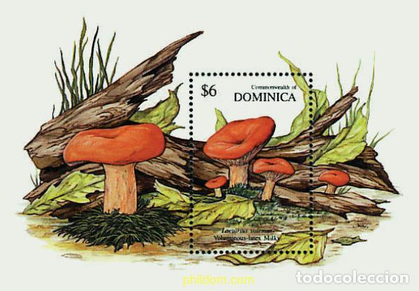 Sellos: 201673 MNH DOMINICA 1991 SETAS