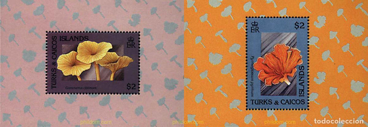 Sellos: 34622 MNH TURKS Y CAICOS 1991 SETAS - Foto 1